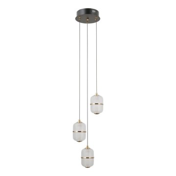 ITALUX - LED-takpendel på vajer ALANI 3xLED/5W/230V 3000K svart/guld