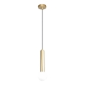 ITALUX - Pendellampa på vajer FILANO 1xG9/5W/230V guld