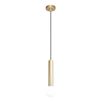 ITALUX - Pendellampa på vajer FILANO 1xG9/5W/230V guld