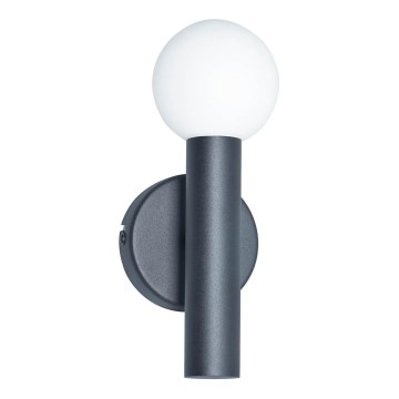 ITALUX - Vägglampa FILANO 1xG9/5W/230V svart