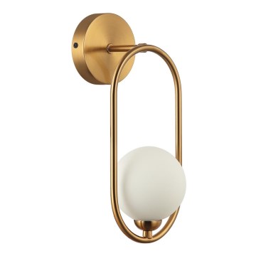 ITALUX - Vägglampa LUPUS 1xG9/25W/230V guld