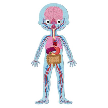 Janod - Barnens pedagogiska pussel 225 bitar mänskliga kroppen