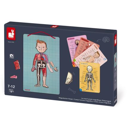 Janod - Magnetiskt pussel BODYMAGNET människokroppen