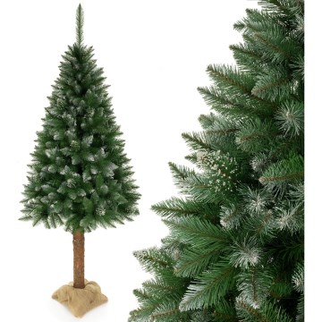 Julgran 220 cm, gran