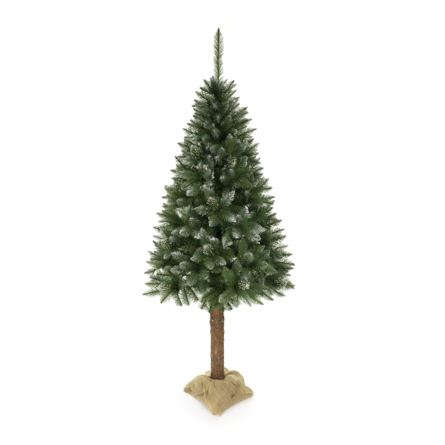 Julgran 220 cm, gran