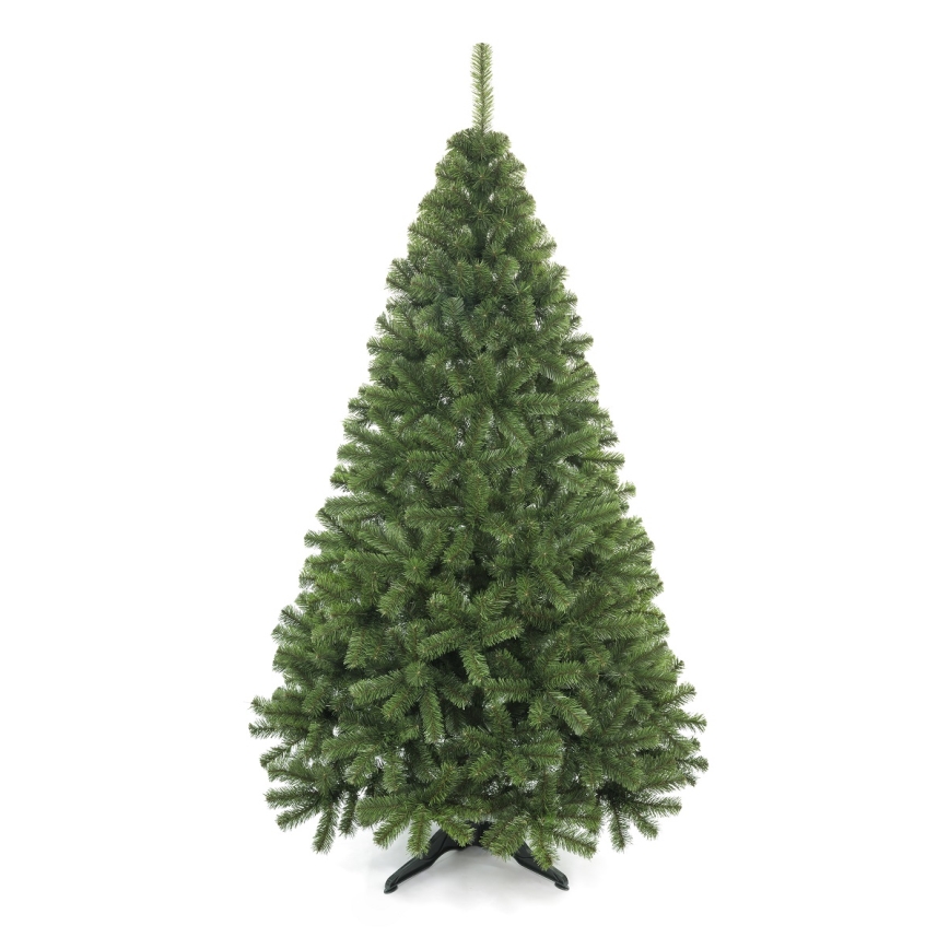Julgran 250 cm ädelgran