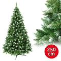 Julgran 250 cm ädelgran