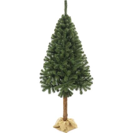 Julgran på stam 160 cm ädelgran