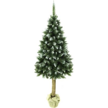 Julgran på stam 220 cm ädelgran