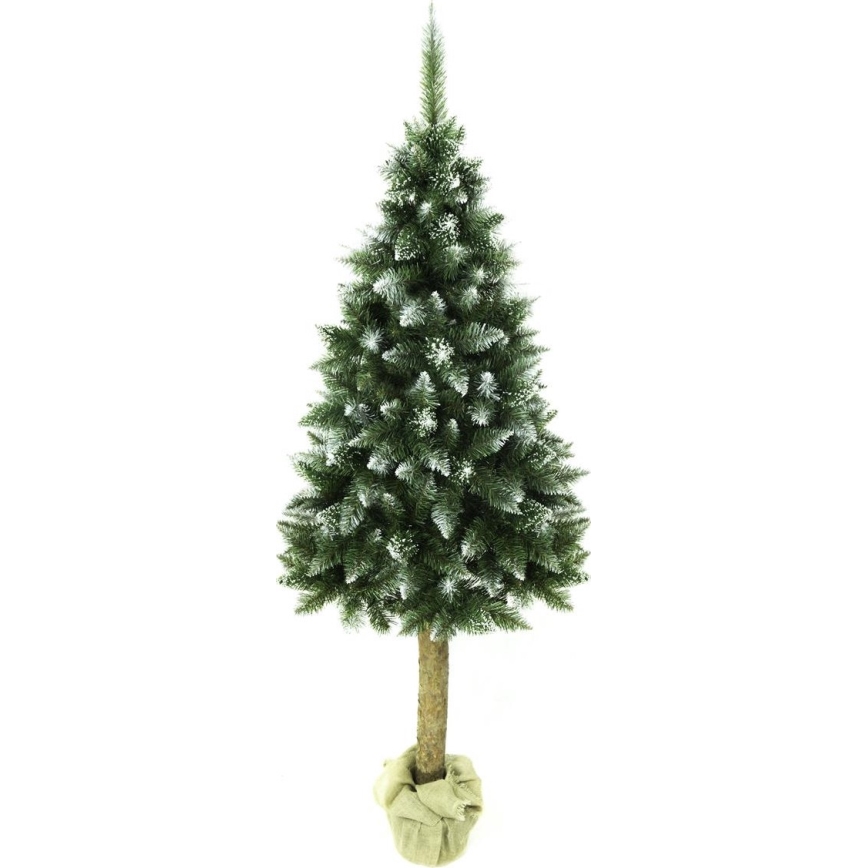 Julgran på stam 220 cm ädelgran