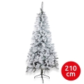 Julgran SCOTLAND 210 cm, ädelgran