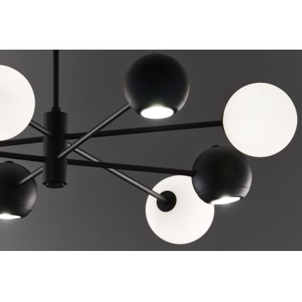 Jupiter 1998 - Pendelkrona MOKA 4xGU10/10W/230V + 4xG9/10W/230V svart/vit