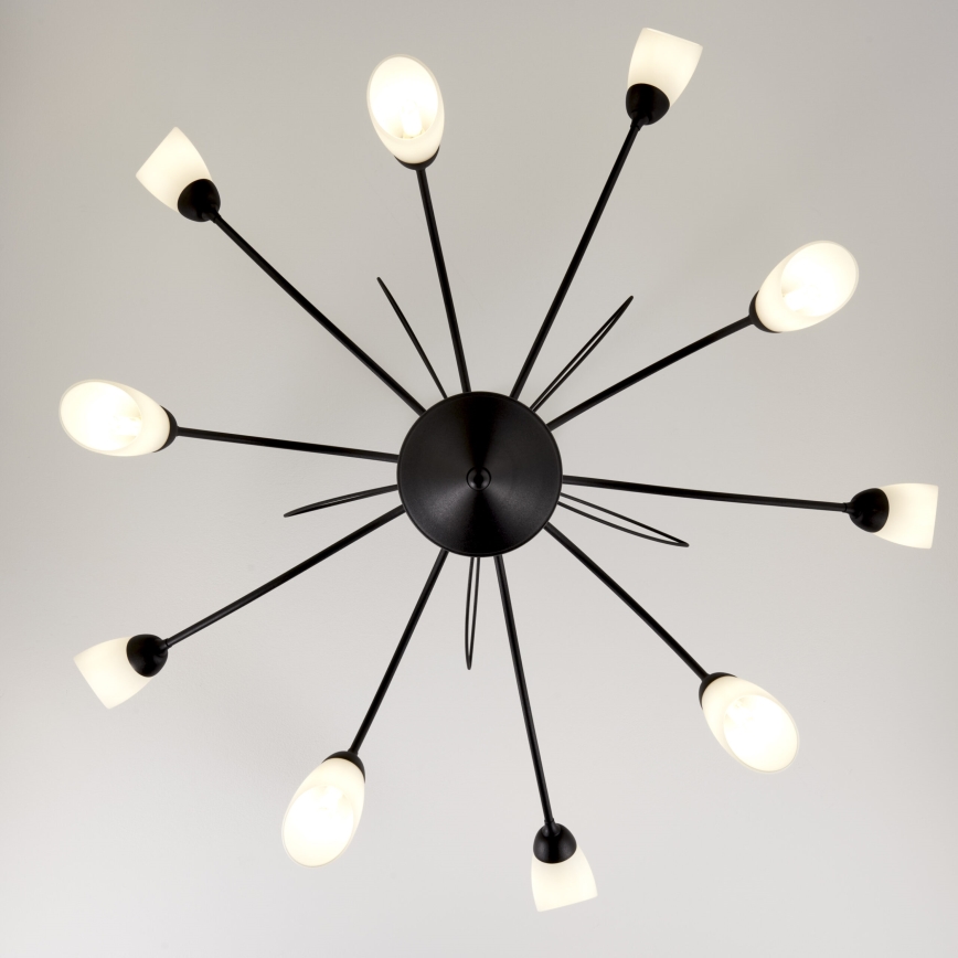 Jupiter 2056 - Taklampa på stång GLORIOSA 10xG9/14W/230V svart