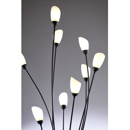 Jupiter 2058 - Golvlampa GLORIOSA 9xG9/14W/230V svart