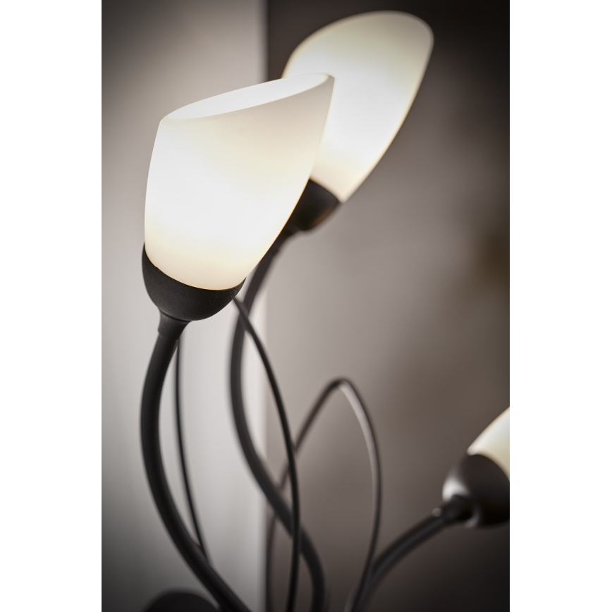 Jupiter 2059 - Vägglampa GLORIOSA 3xG9/14W/230V svart