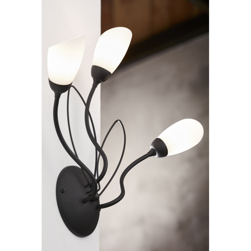 Jupiter 2059 - Vägglampa GLORIOSA 3xG9/14W/230V svart