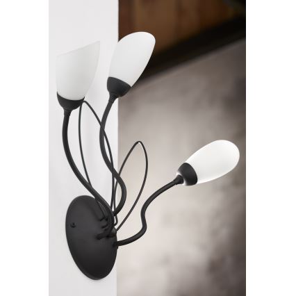 Jupiter 2059 - Vägglampa GLORIOSA 3xG9/14W/230V svart