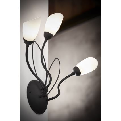 Jupiter 2059 - Vägglampa GLORIOSA 3xG9/14W/230V svart