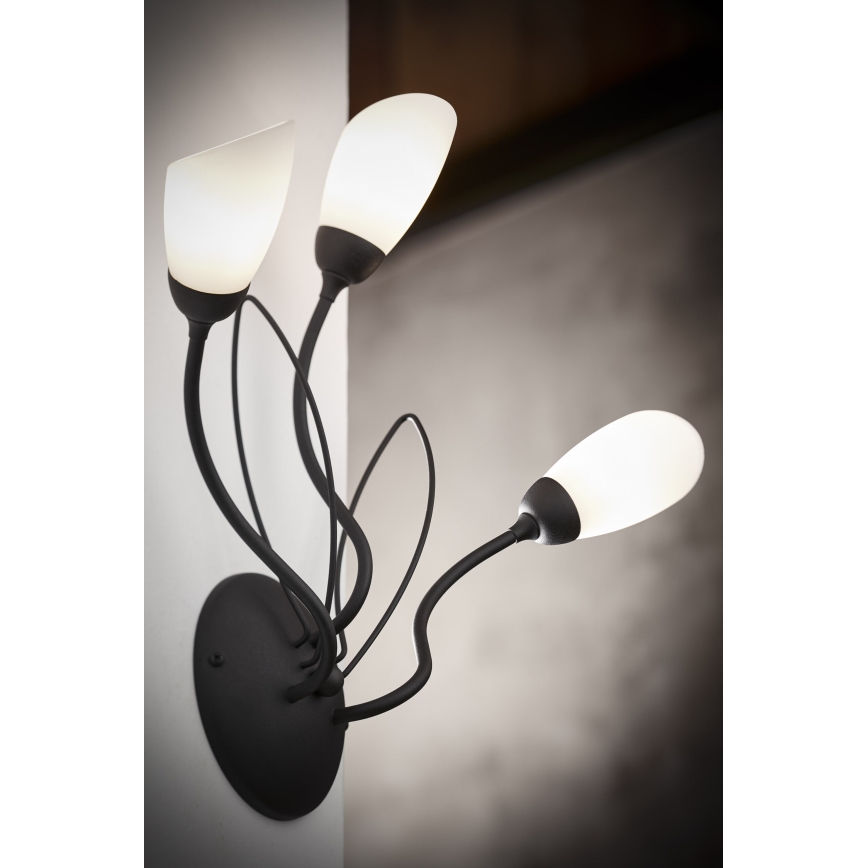 Jupiter 2059 - Vägglampa GLORIOSA 3xG9/14W/230V svart