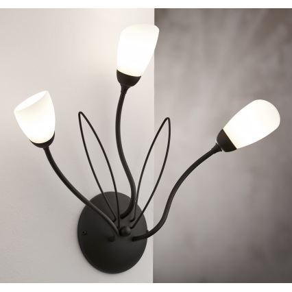 Jupiter 2059 - Vägglampa GLORIOSA 3xG9/14W/230V svart
