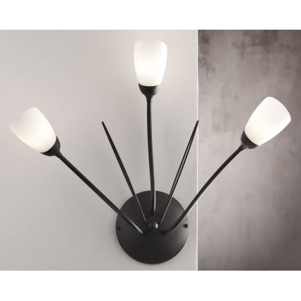 Jupiter 2059 - Vägglampa GLORIOSA 3xG9/14W/230V svart