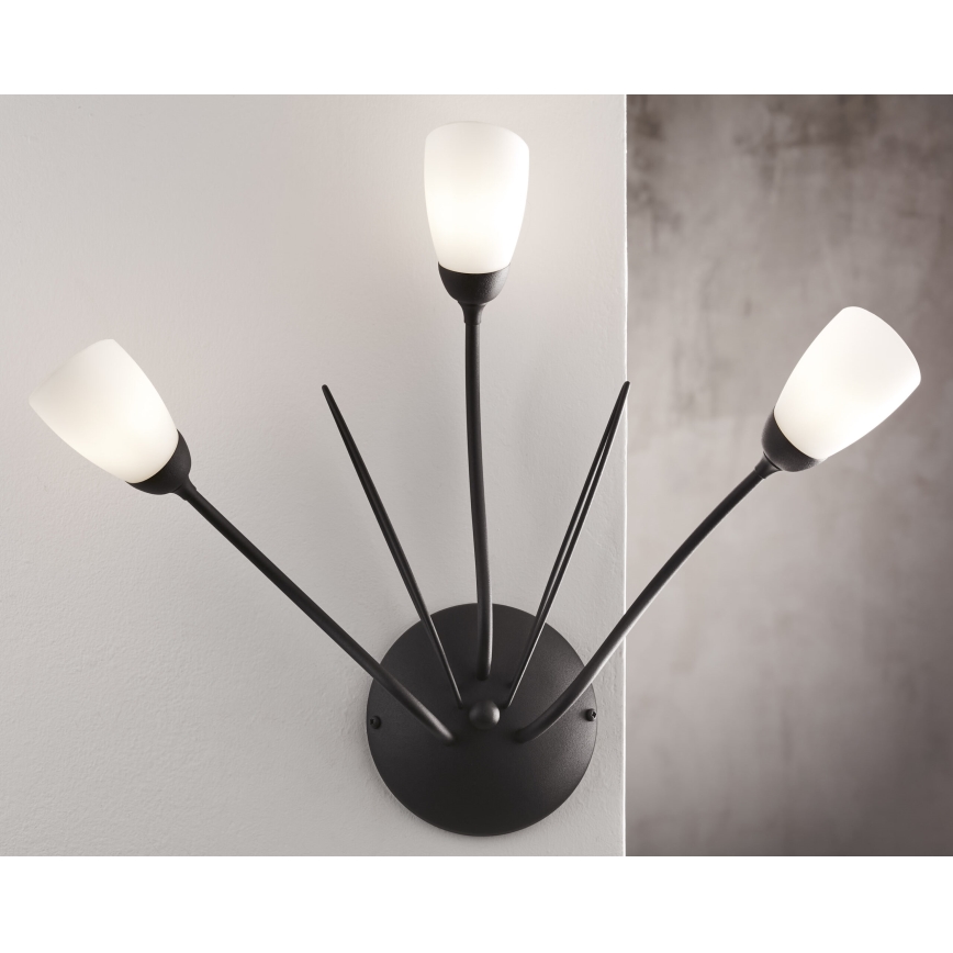 Jupiter 2059 - Vägglampa GLORIOSA 3xG9/14W/230V svart