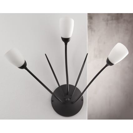 Jupiter 2059 - Vägglampa GLORIOSA 3xG9/14W/230V svart