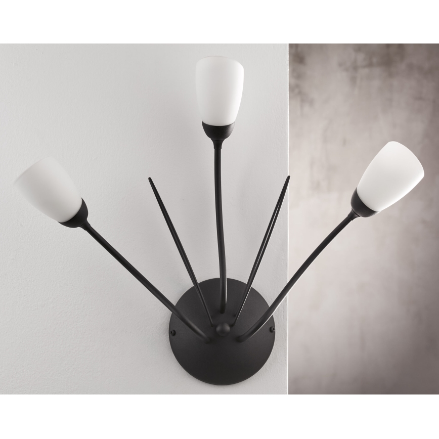 Jupiter 2059 - Vägglampa GLORIOSA 3xG9/14W/230V svart