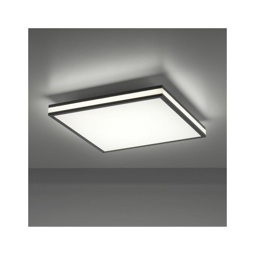 JUST LIGHT. 14110-18 - LED RGBW Dimbar taklampa MARIO BLACK LED/19,5W/230V 2700-5000K + fjärrkontroll