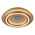 JUST LIGHT. 15089-60 - LED Taklampa CICHIO LED/36W/230V Ø 40 cm guld