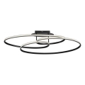 JUST LIGHT. 15321-18 - LED taklampa LUMACA LED/33W/230V svart