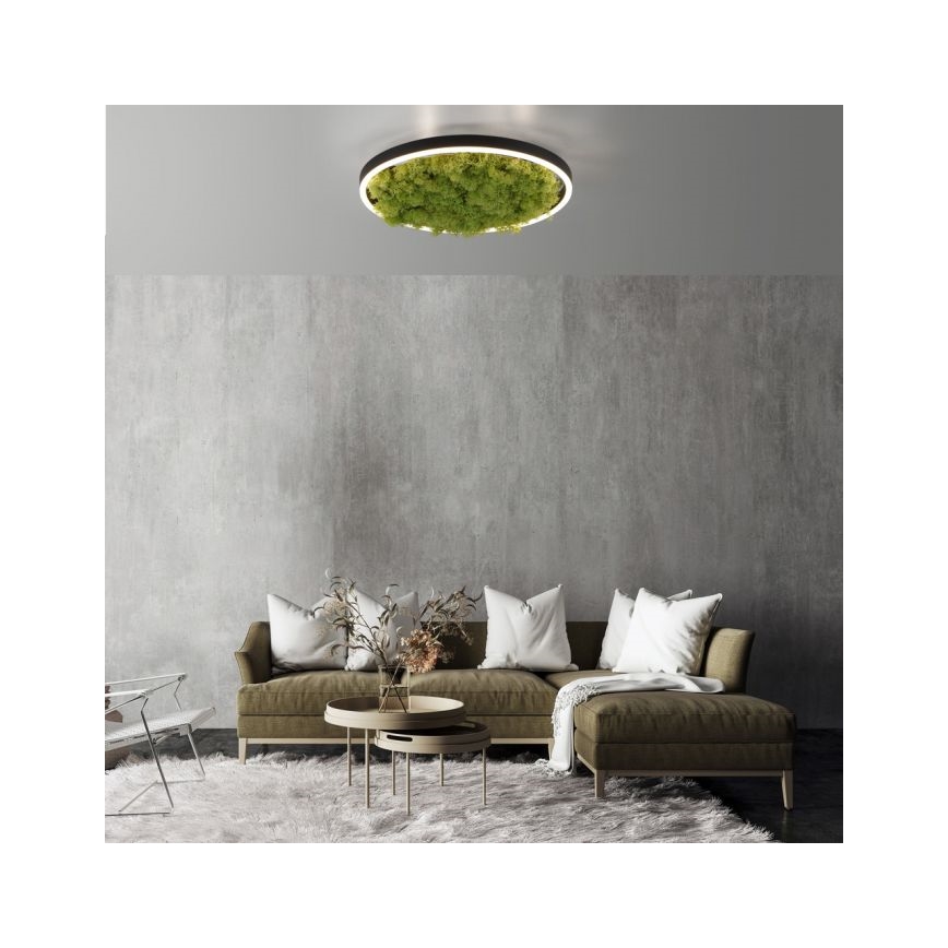 JUST LIGHT. 15391-66 - LED Dimbar taklampa GRÖN RITU LED/20W/230V