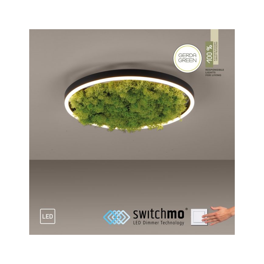 JUST LIGHT. 15391-66 - LED Dimbar taklampa GRÖN RITU LED/20W/230V