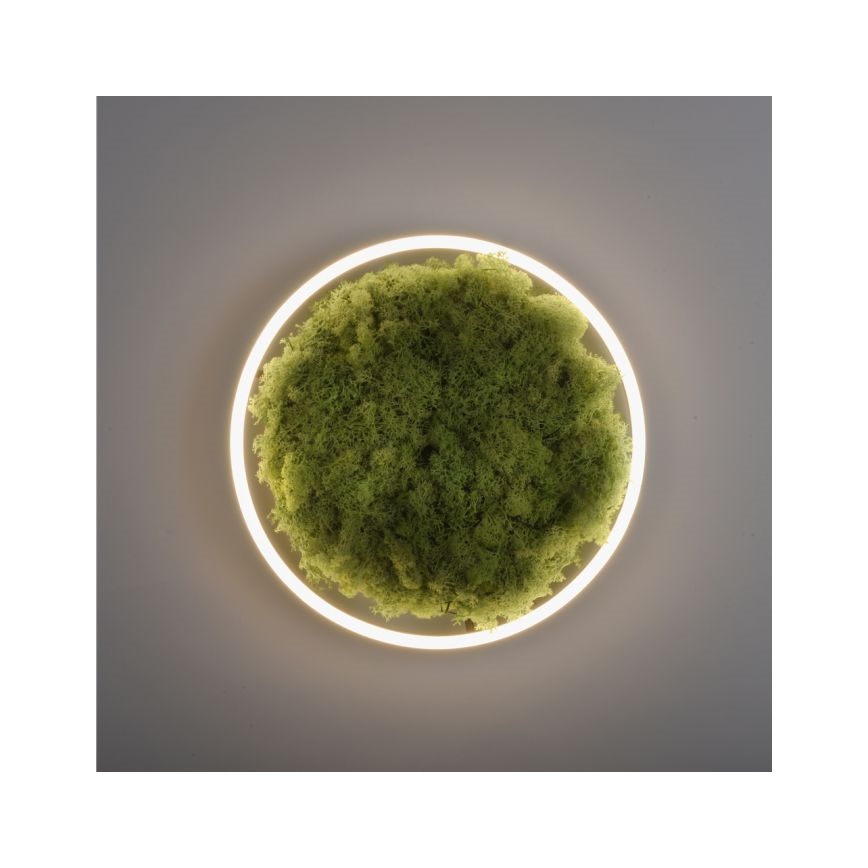 JUST LIGHT. 15391-66 - LED Dimbar taklampa GRÖN RITU LED/20W/230V