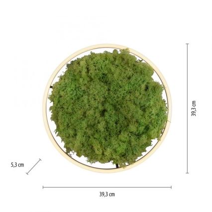 JUST LIGHT. 15391-66 - LED Dimbar taklampa GRÖN RITU LED/20W/230V