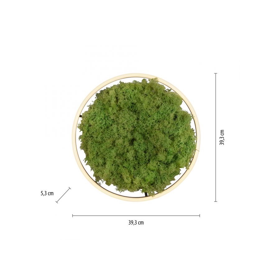 JUST LIGHT. 15391-66 - LED Dimbar taklampa GRÖN RITU LED/20W/230V