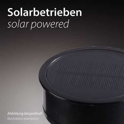 JUST LIGHT. 19106-18-3 - SET OM 3x LED Solcellslampa FACKEL LED/0,24W/1,2V 200 mAh IP44 svart