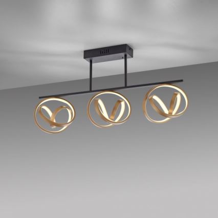 JUST LIGHT. 6245-18 - Dimbar LED ytmonterad ljuskrona LOOP 3xLED/11W/230V 2700-5000K + fjärrkontroll
