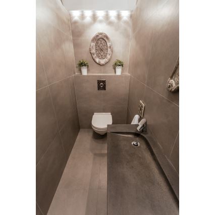 LED infälld lampa för utomhusbruk IMBER LED/1W/12V 4000K diameter 3 cm 40 lm IP65 silver