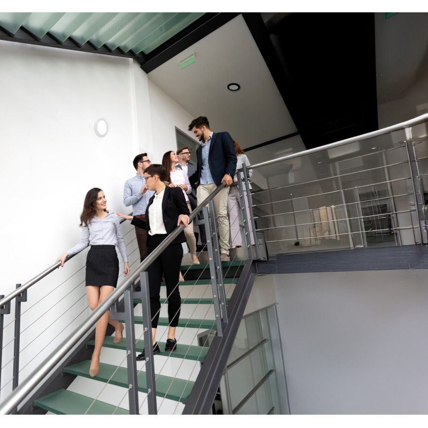 LED Tak- och infälld belysning med rörelsesensor 2-i-1 ERGA LED/17W/230V 3000/4000/6500K vit