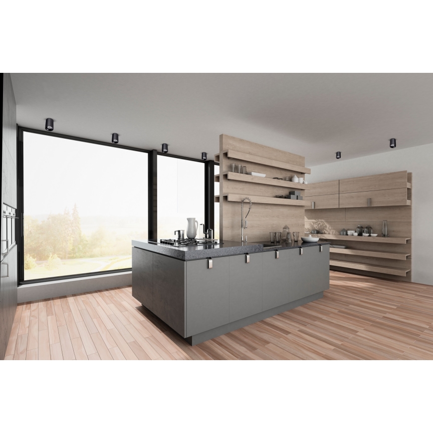 Takbelysning RITI 1xGU10/25W/230V svart