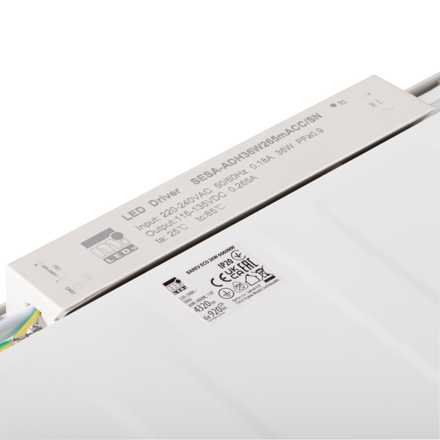 LED infälld panel BAREV ECO LED/36W/230V 4000K 60x60 cm