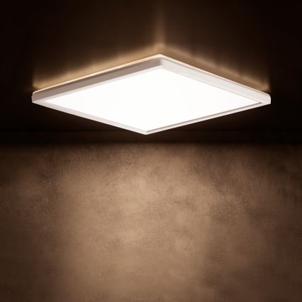 LED-taklampa AZPO LED/12,3W/230V 3000/4000/6000K 22,5x22,5 cm IP54 vit