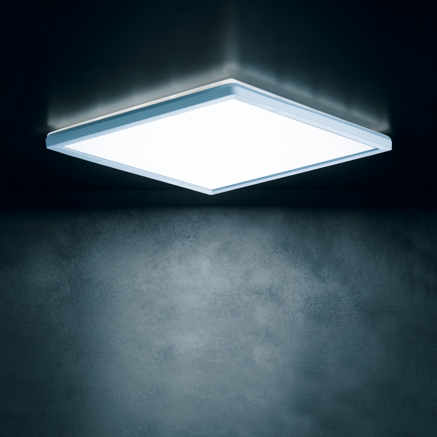 LED-taklampa AZPO LED/12,3W/230V 3000/4000/6000K 22,5x22,5 cm IP54 vit