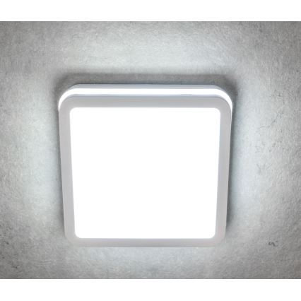 Kanlux 32942 - LED Utomhus Takbelysning BENO LED/18W/230V 4000K vit IP54