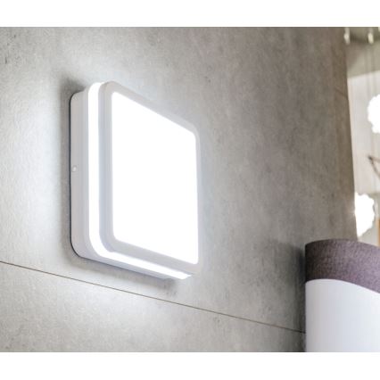 Kanlux 32942 - LED Utomhus Takbelysning BENO LED/18W/230V 4000K vit IP54