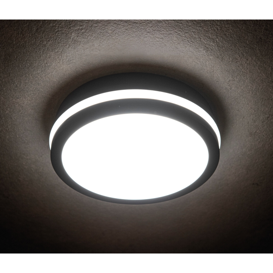 Kanlux 33341 – LED Utomhus Takbelysning BENO LED/24W/230V 4000K antracit IP54