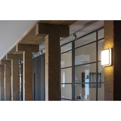 Kanlux 33347 – LED Utomhus Takbelysning med sensor BENO LED/24W/230V 4000K antracit IP54