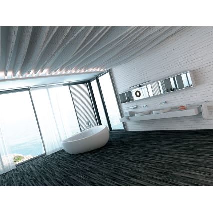 LED Belysning för badrumsspegel ASTIM LED/12W/230V IP44 svart