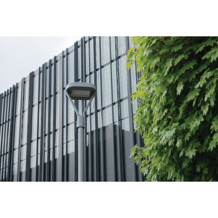 LED gatulampa PARCOLI LED/30/40/50W/230V 3000/4000/6500K IP66 grå